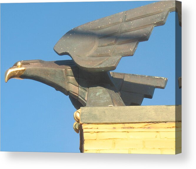 Eagle Acrylic Print featuring the photograph The Eagle by Alan Chandler