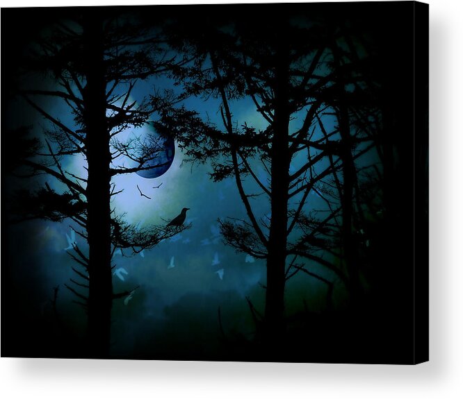 The Edge Of Twilight Acrylic Print featuring the photograph The Edge of Twilight by Micki Findlay
