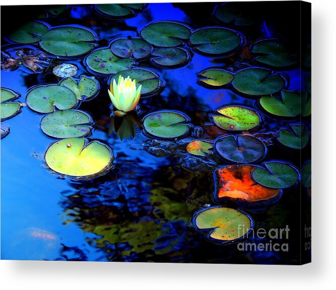 Flora Acrylic Print featuring the photograph The Last Lily by Marcia Lee Jones