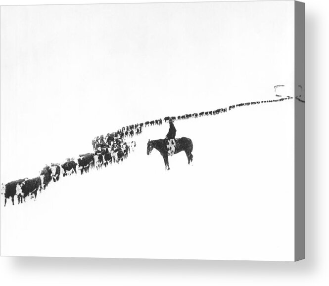1920s Acrylic Print featuring the photograph The Long Long Line by Underwood Archives Charles Belden