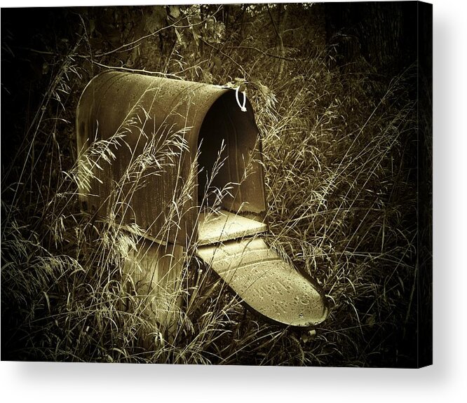Mailbox Acrylic Print featuring the photograph The Old Mailbox by Joyce Kimble Smith