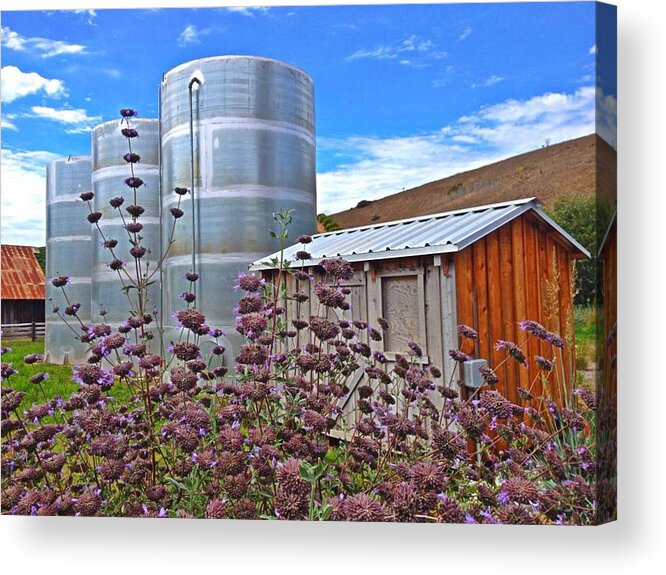  Acrylic Print featuring the photograph The other side of Cambria by Lori Leigh