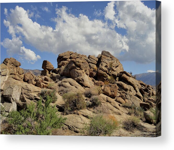  Palms To Pines Highway Acrylic Print featuring the photograph The Rock Garden by Michael Pickett