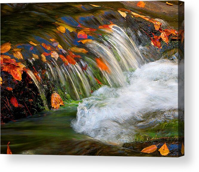 Fall Stream Acrylic Print featuring the photograph The Stream by Michael Eingle