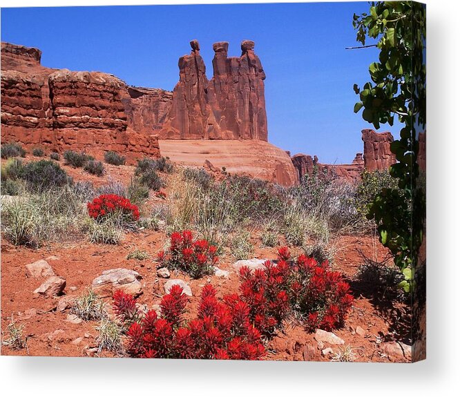The Acrylic Print featuring the photograph The Three Gossips by Tranquil Light Photography