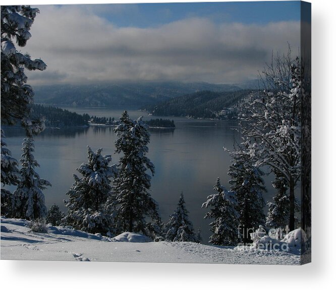 Art For The Wall...patzer Photography Acrylic Print featuring the photograph The View by Greg Patzer