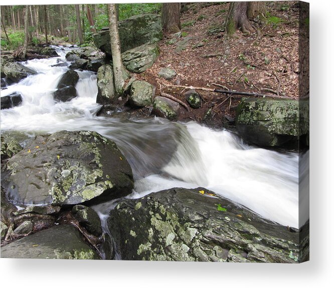 Bushkill Acrylic Print featuring the photograph The Watering Place by Richard Reeve