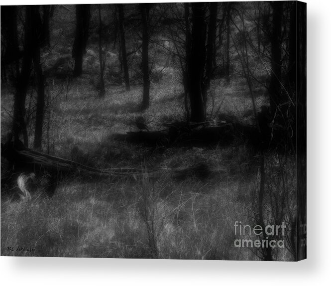 Colorado Acrylic Print featuring the photograph The Woods Are Lovely Dark and Deep by RC DeWinter