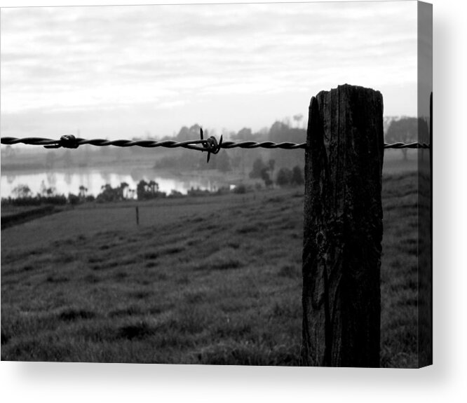 Barbed Wire Landscape New Zealand Waikato Lake Post Wood Nature Farm Rural Countryside Acrylic Print featuring the photograph Through the fence by Guy Pettingell