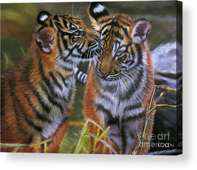 Tigers Acrylic Print featuring the painting Tigers In Love Large Art Print by William Cain