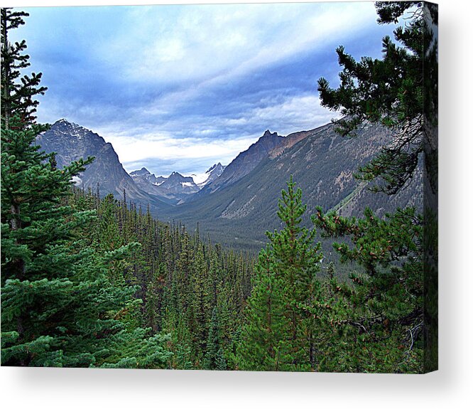 Janet Ashworth Acrylic Print featuring the mixed media Tonquin Valley by Janet Ashworth
