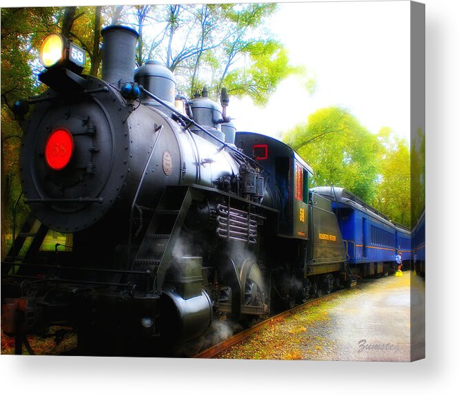 Train Acrylic Print featuring the photograph Train in Fall by David Zumsteg