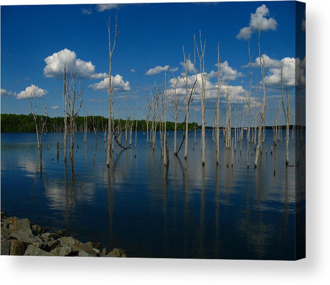 Tranquility Acrylic Print featuring the photograph Tranquility II by Raymond Salani III