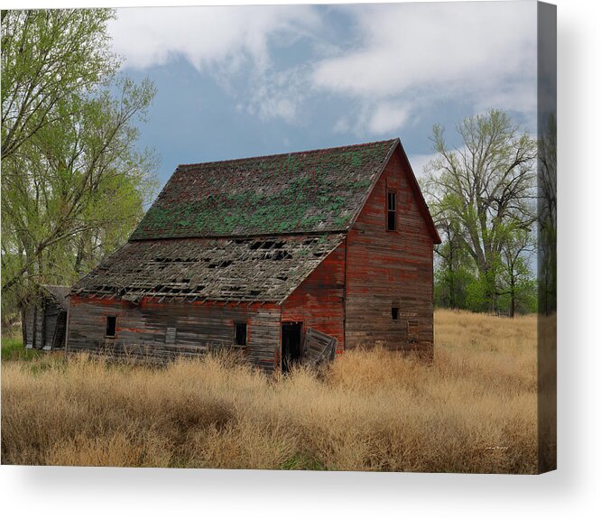 Agriculture Acrylic Print featuring the photograph Treasure County Barn by Leland D Howard