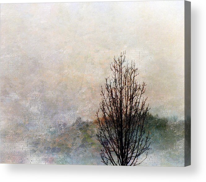 Impression Impressionist Acrylic Print featuring the digital art Tree Impression by Bruce Rolff