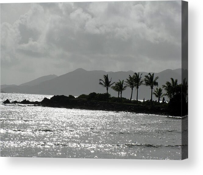 Sapphire Beach Acrylic Print featuring the photograph Tropical Mornings - Silhouettes 04 by Pamela Critchlow