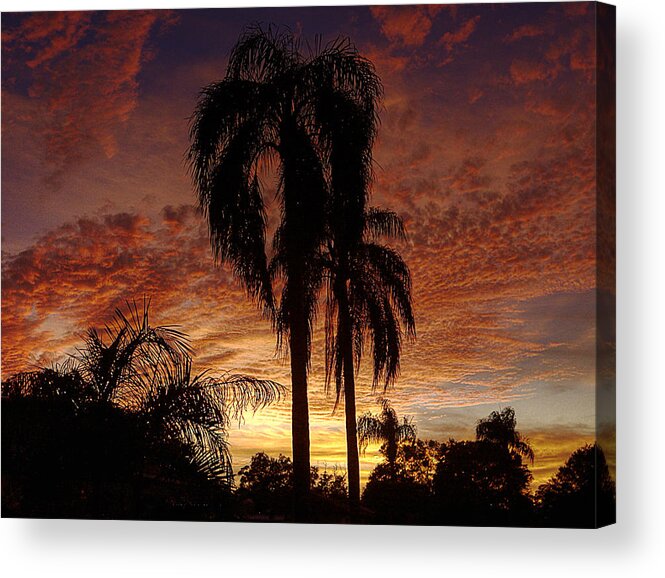 Tropical Arts Acrylic Print featuring the photograph Tropical Sunset by Kandy Hurley