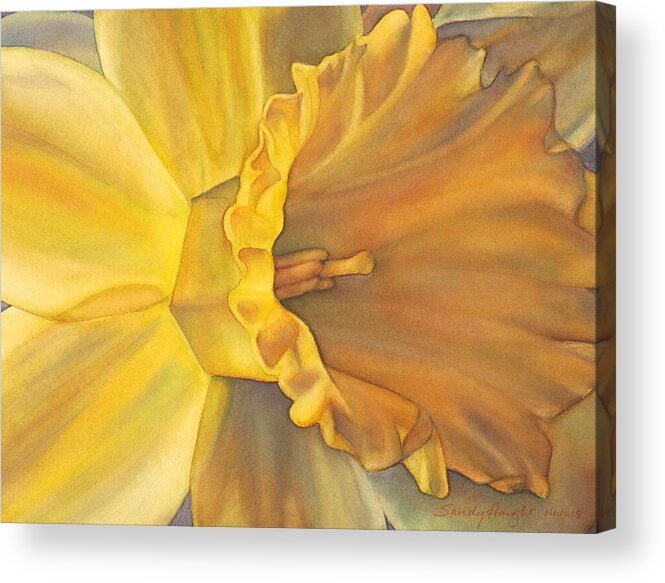 Daffodil Acrylic Print featuring the painting Trumpet of Spring by Sandy Haight