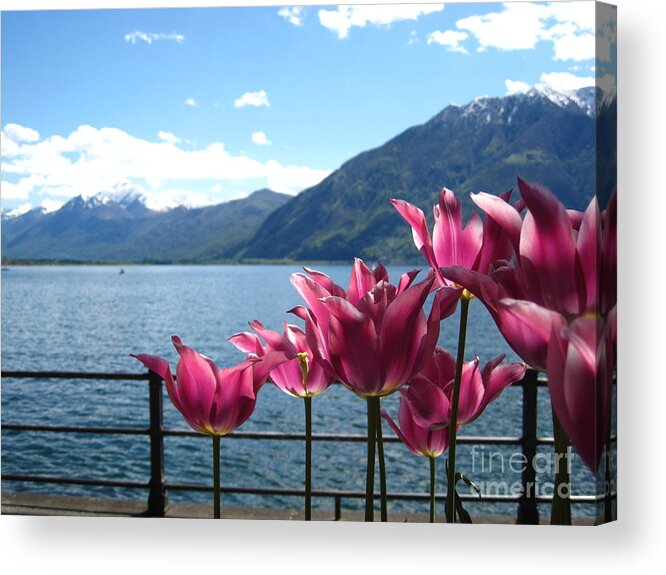 Sky Acrylic Print featuring the photograph Tulips at Lake Geneva by Amanda Mohler