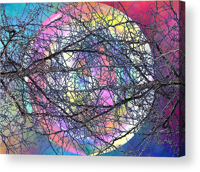 Tree Acrylic Print featuring the digital art Tween The Branches by Tim Allen
