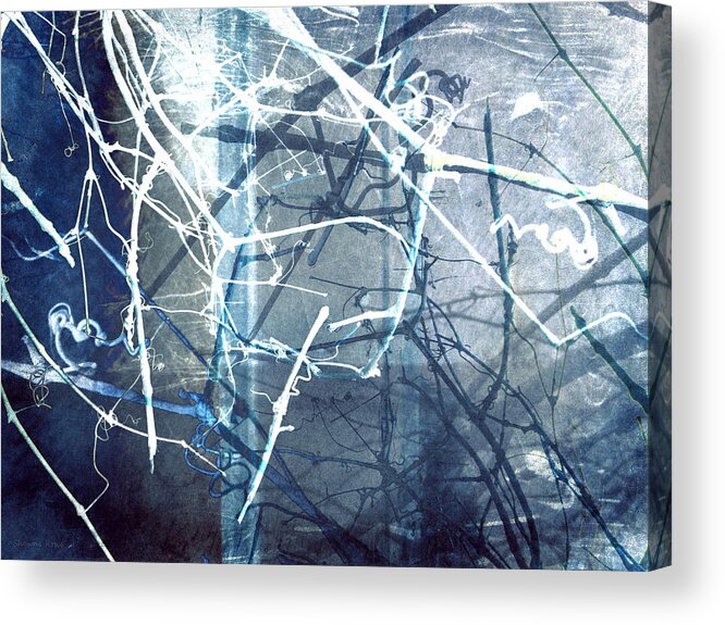 Branch Acrylic Print featuring the photograph Twisting and Turning by Shawna Rowe