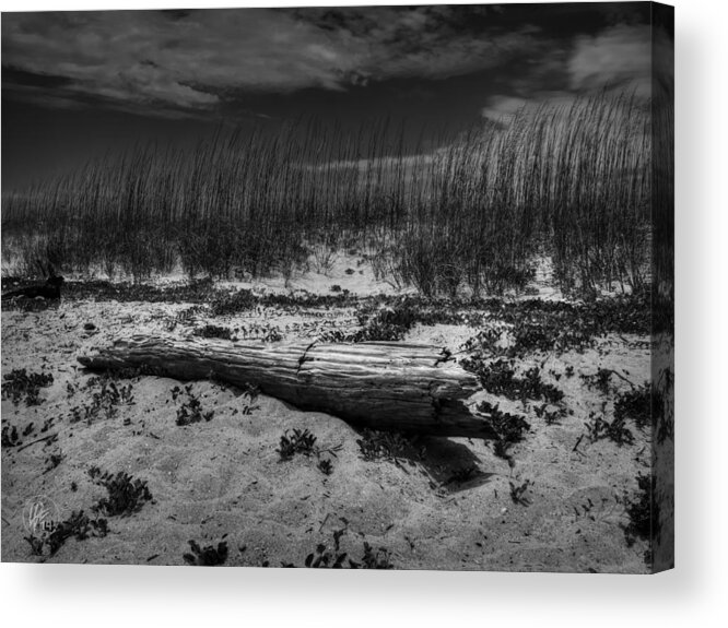 Tybee Island Acrylic Print featuring the photograph Tybee Island Driftwood 001 BW by Lance Vaughn