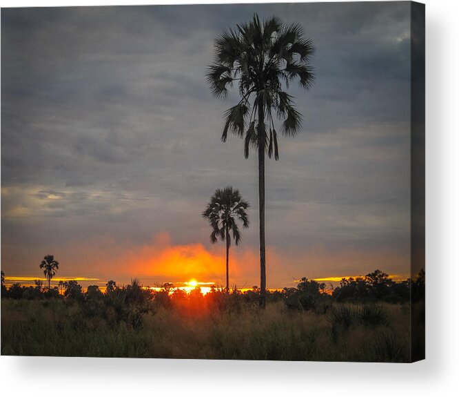 100324 Botswana & Zimbabwe Expeditions Acrylic Print featuring the photograph Typical African Sunset by Gregory Daley MPSA