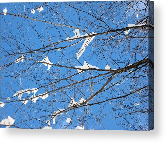 Snow Acrylic Print featuring the photograph Under Snowy Branches 2 by Dennis Lundell