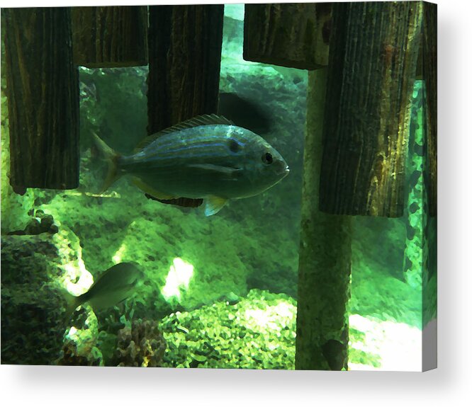 Fish Acrylic Print featuring the digital art Under the Boardwalk by Richard Reeve