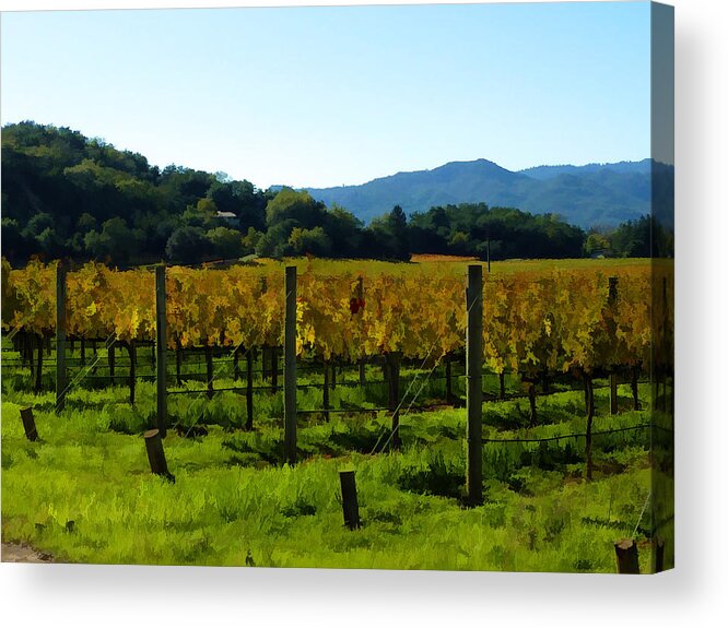 Landscape Acrylic Print featuring the photograph Up Valley by Ann Nunziata