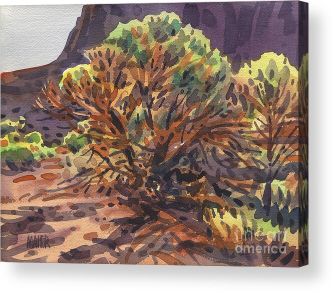 Juniper Acrylic Print featuring the painting Utah Juniper by Donald Maier