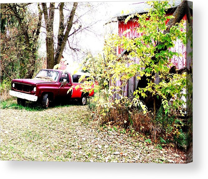 Truck Acrylic Print featuring the photograph Vibrant Junkyard Truck by Mykul Anjelo