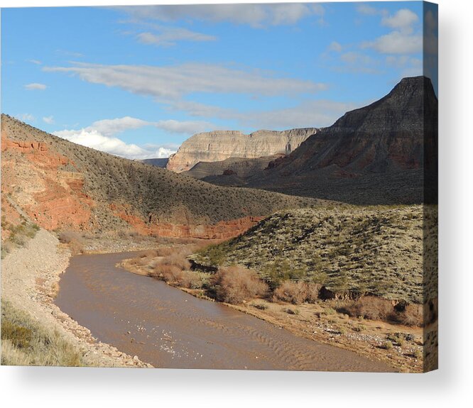 Desert Landscape Acrylic Print featuring the photograph Virgin River Gorge AZ 2066 by Andrew Chambers
