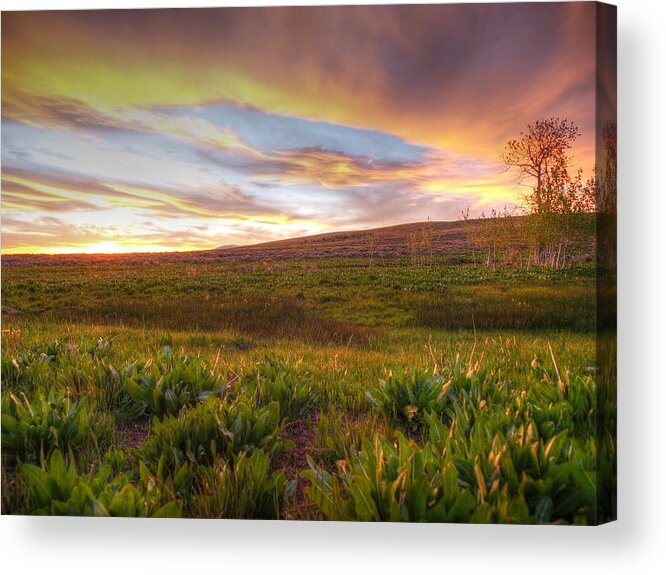 Elko Nevada Landscape Photography Acrylic Print featuring the photograph Vivid Sunset by Jenessa Rahn