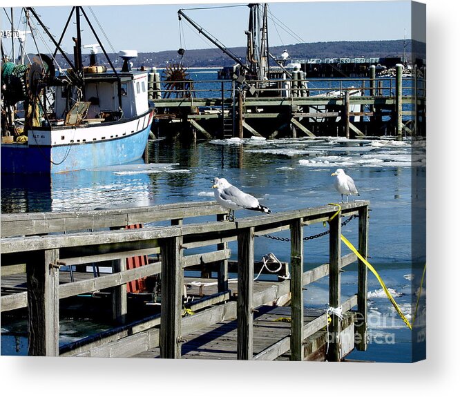 Boats Acrylic Print featuring the photograph Waiting for a free meal by George DeLisle