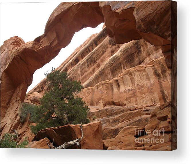 Arch Acrylic Print featuring the photograph Wall Arch - Collapsed 2008 by Christiane Schulze Art And Photography