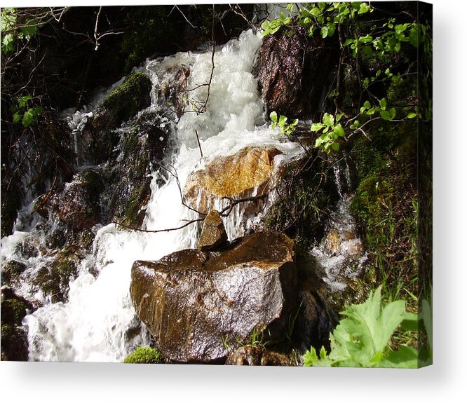 Water Falls Acrylic Print featuring the photograph Water Fall by Yvette Pichette