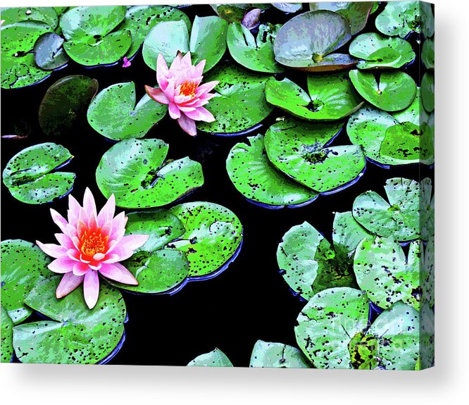 Larry Acrylic Print featuring the photograph Water Lillies -- Inspired By Monet-1 by Larry Oskin