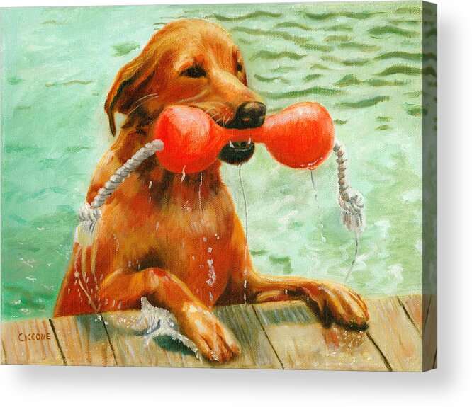 Dog Acrylic Print featuring the painting Waterdog by Jill Ciccone Pike