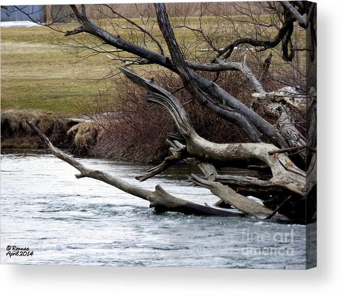 Water Acrylic Print featuring the photograph Waters Edge by Rennae Christman