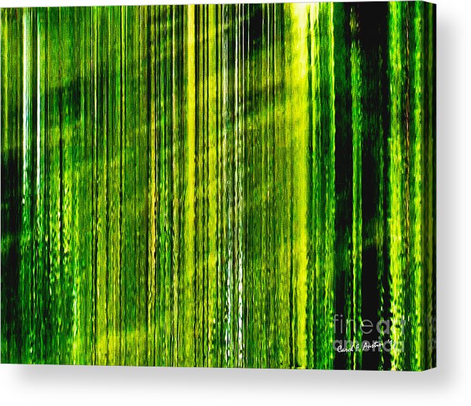 Weeping Willow Tree Acrylic Print featuring the photograph Weeping Willow Tree Home Wall Decor by Carol F Austin