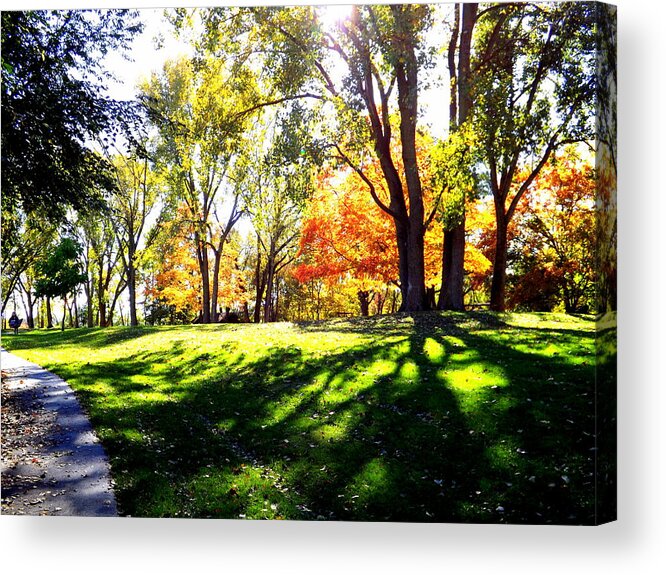 Well Traveled Path Acrylic Print featuring the photograph Well Traveled Path by Darren Robinson