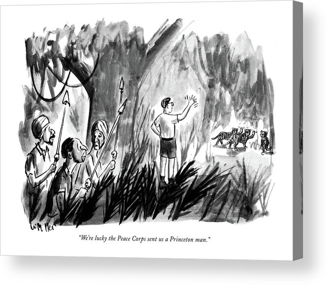 69096 
 Princeton Man Waves At Tigers In Jungle.warren Miller Acrylic Print featuring the drawing We're Lucky The Peace Corps Sent Us A Princeton by Warren Miller