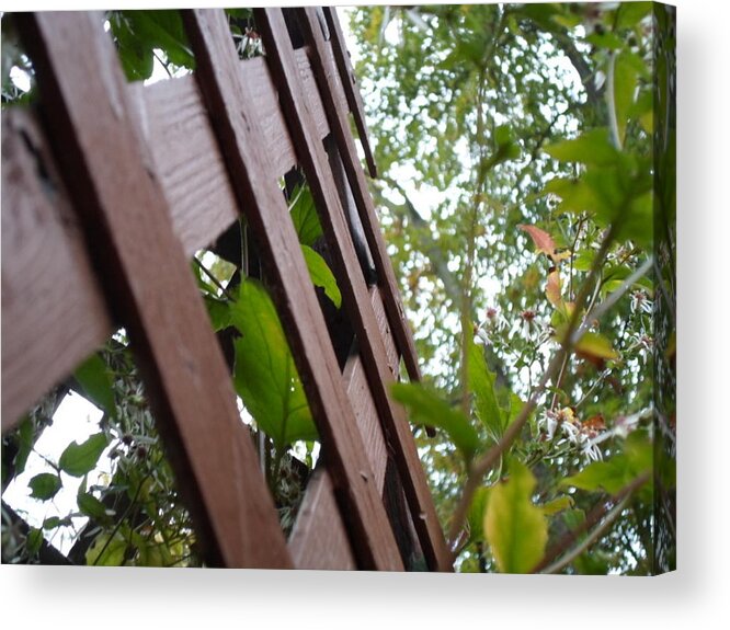 Fence Acrylic Print featuring the photograph Where the Fence Crosses by Jenna Mengersen