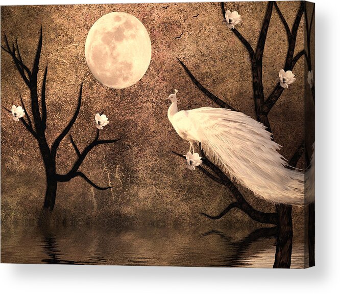 White Peacocks Acrylic Print featuring the digital art White Peacock by Sharon Lisa Clarke