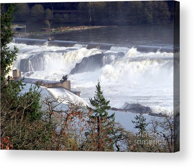 Willamette Falls Acrylic Print featuring the photograph Willamette Falls by Charles Robinson