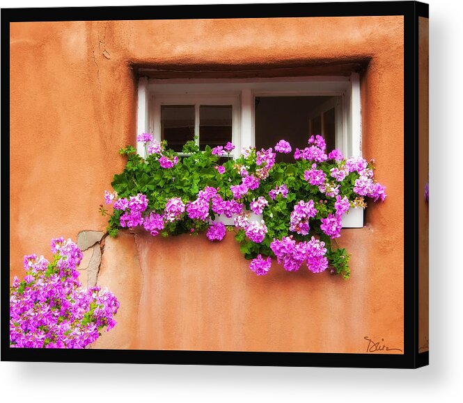Taos Acrylic Print featuring the photograph Window in Taos by Peggy Dietz