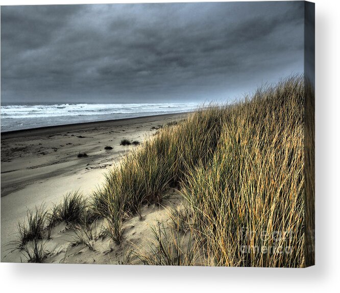 Beach Acrylic Print featuring the photograph Windswept by Parrish Todd
