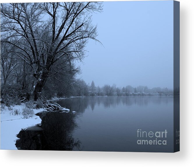 Blue Acrylic Print featuring the photograph Winter Blues by Carol Groenen