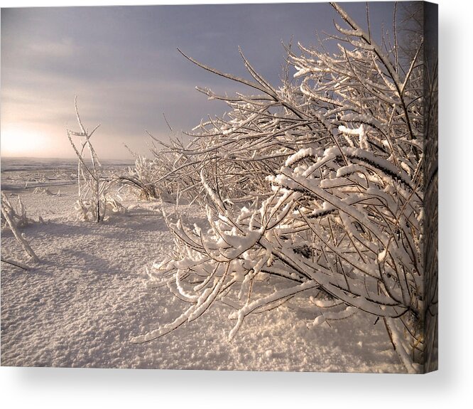 North America Acrylic Print featuring the photograph Winter Sun ... by Juergen Weiss